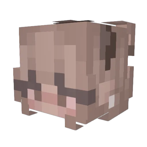 Fairlyzi Minecraft avatar head, 3D render