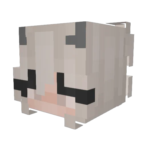 FairyGirl903 Minecraft avatar head, 3D render