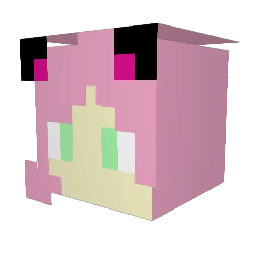 FairyTired Minecraft avatar head, 3D render