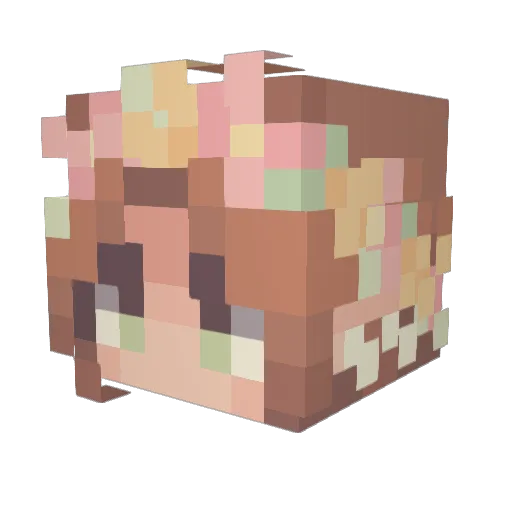 FairyTypesVal Minecraft avatar head, 3D render