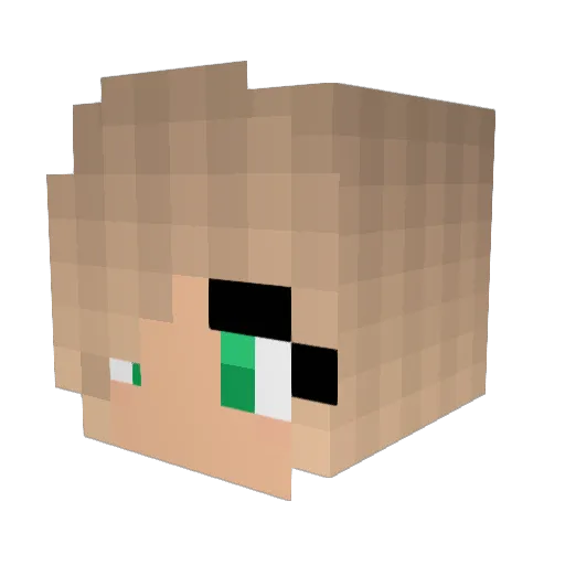 Fairykins Minecraft avatar head, 3D render