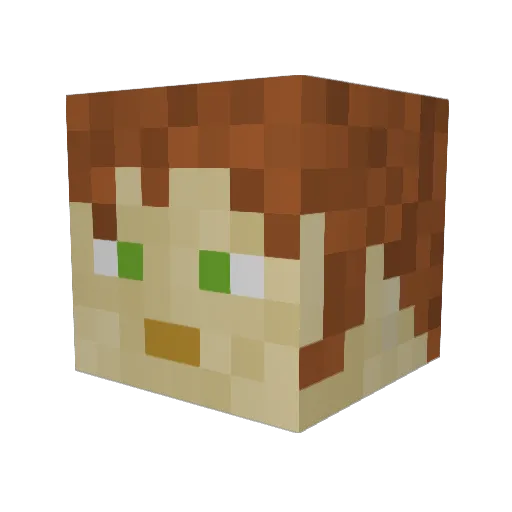 Faisan97 Minecraft avatar head, 3D render