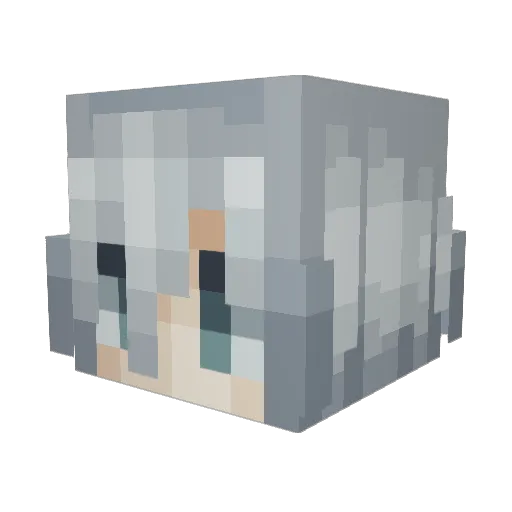 Faisvl Minecraft avatar head, 3D render