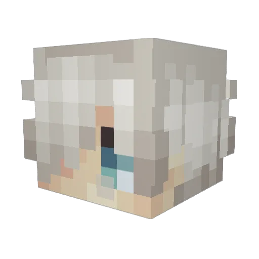 Faisxl Minecraft avatar head, 3D render