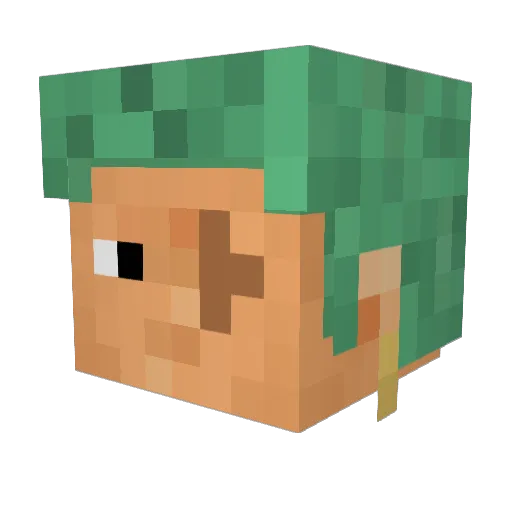 FaitFretteCriss Minecraft avatar head, 3D render