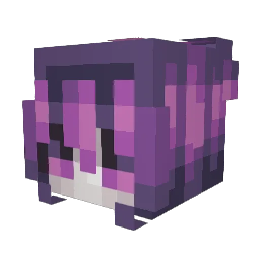 Faith293 Minecraft avatar head, 3D render
