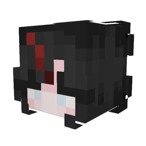 FaithTheDuck Minecraft avatar head, 3D render