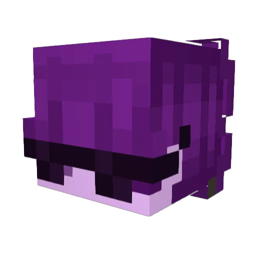 Faithfinity Minecraft avatar head, 3D render