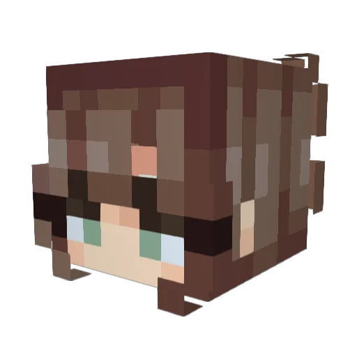 Faithful43ver Minecraft avatar head, 3D render
