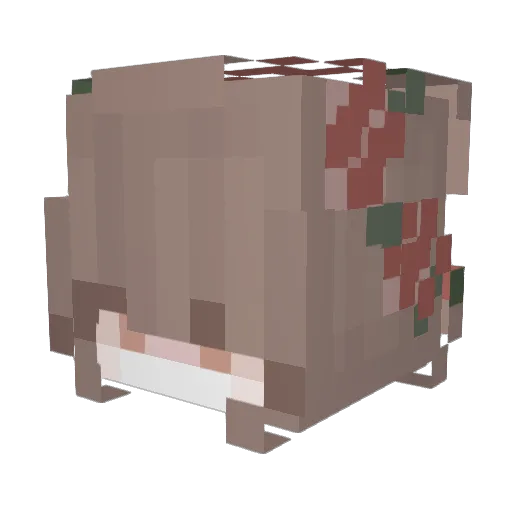 FaithfulFarmer Minecraft avatar head, 3D render
