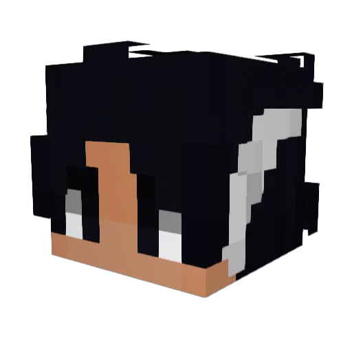 Faithfull__ Minecraft avatar head, 3D render