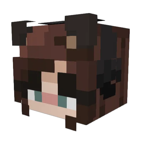 Faithlless Minecraft avatar head, 3D render