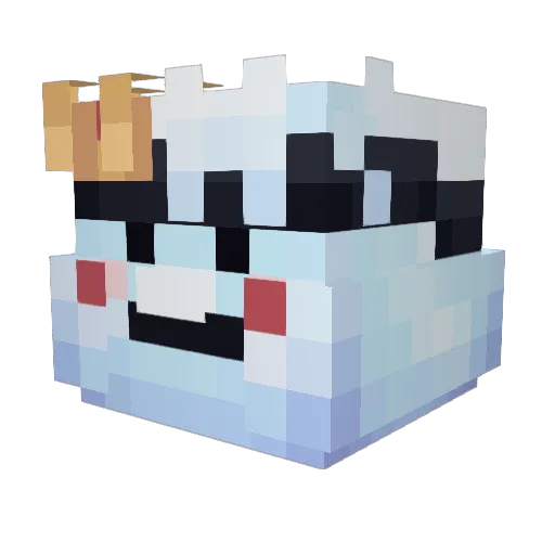Faithsol Minecraft avatar head, 3D render