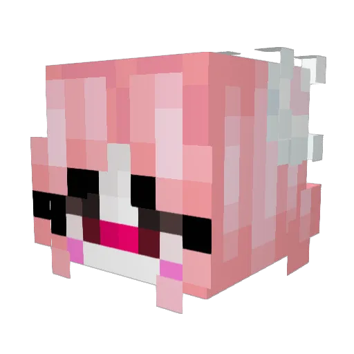 FaithyCat Minecraft avatar head, 3D render