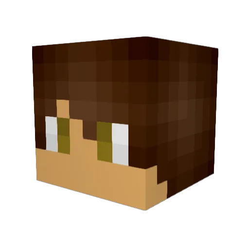 Faizank1738 Minecraft avatar head, 3D render