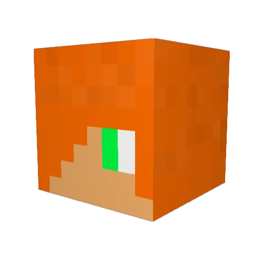 FaizterRSA Minecraft avatar head, 3D render