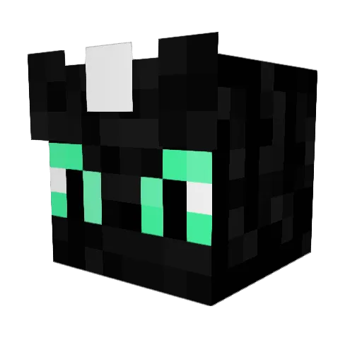 Fajardinhio Minecraft avatar head, 3D render