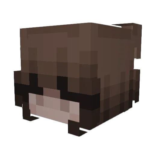 Fajeczkaa Minecraft avatar head, 3D render