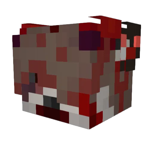 Fajlolbg Minecraft avatar head, 3D render