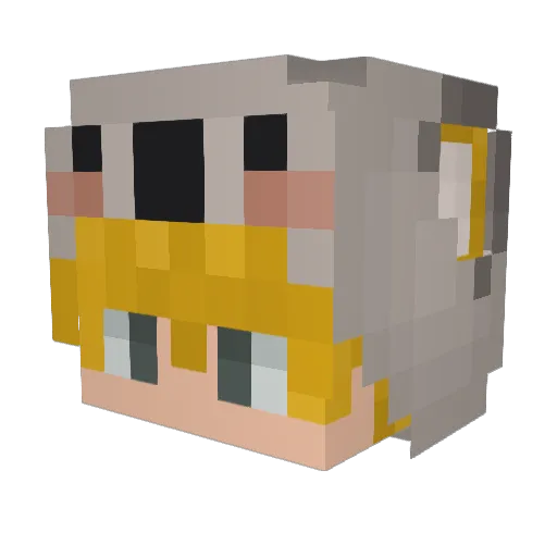 FajnaPand Minecraft avatar head, 3D render
