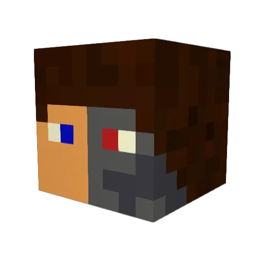 Fajnmond200 Minecraft avatar head, 3D render