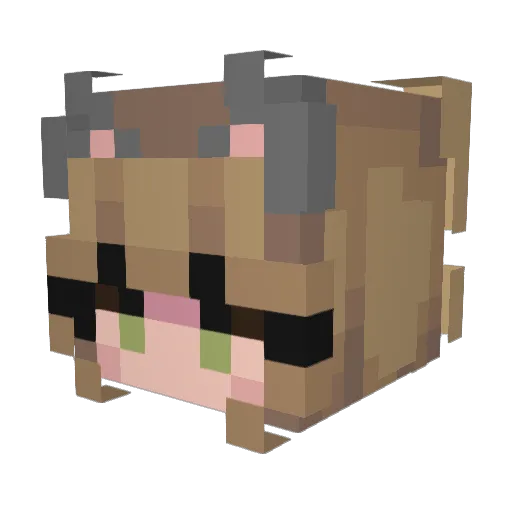 Fajnynickzpolski Minecraft avatar head, 3D render