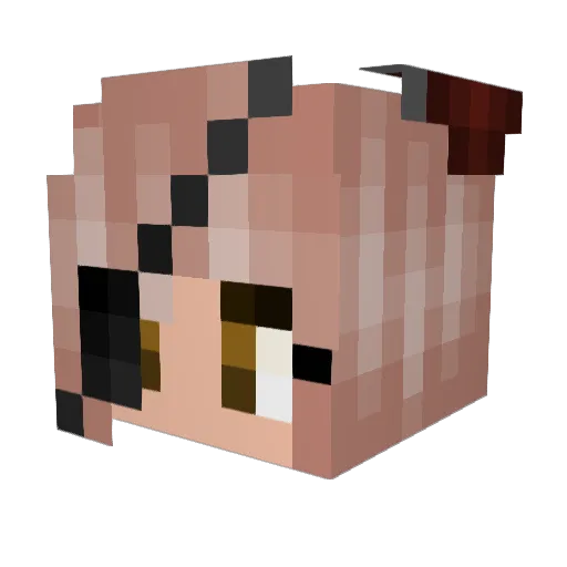 Faka_x8 Minecraft avatar head, 3D render