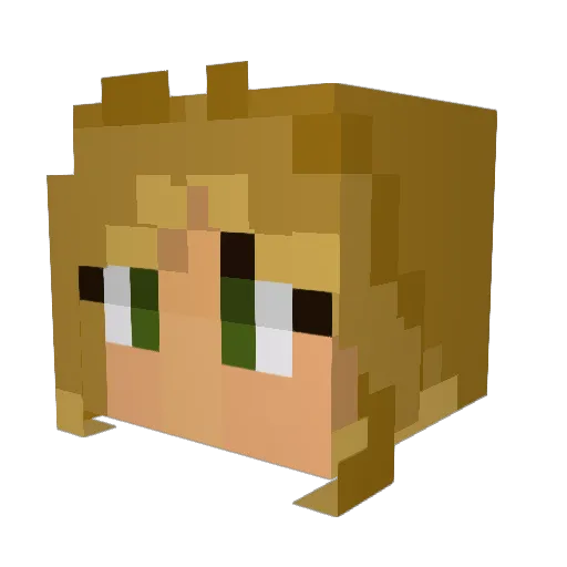 Fakanouk Minecraft avatar head, 3D render