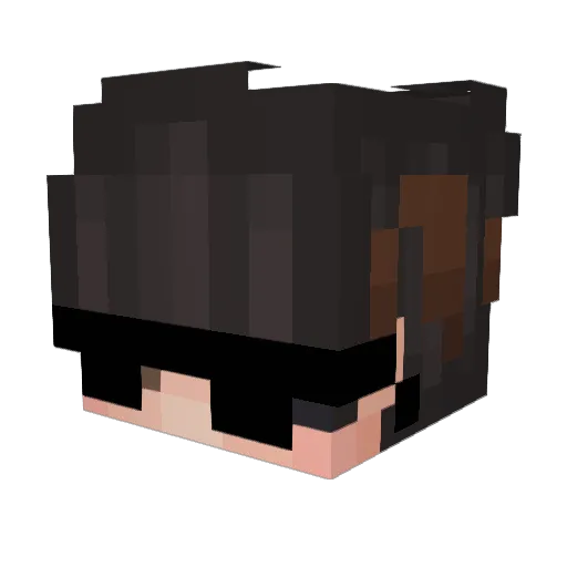 FakeArmin Minecraft avatar head, 3D render