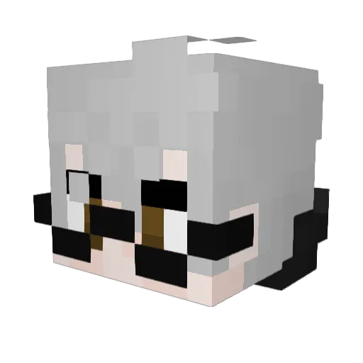FakeBoiGamer Minecraft avatar head, 3D render