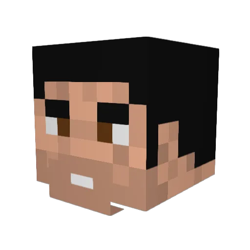 FakeChewie Minecraft avatar head, 3D render