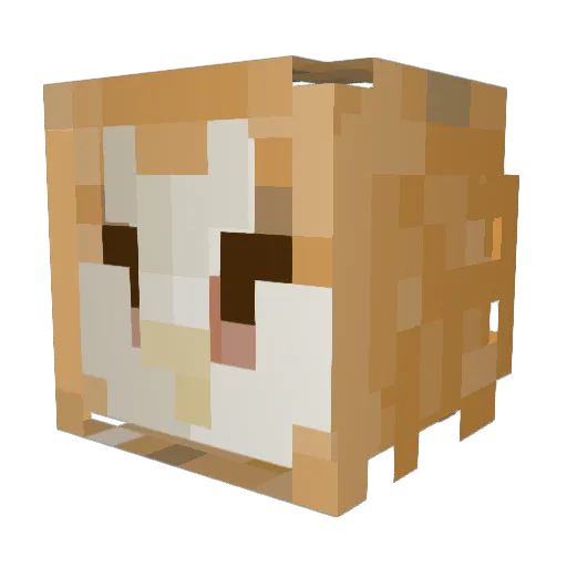 FakeCottonCandy Minecraft avatar head, 3D render