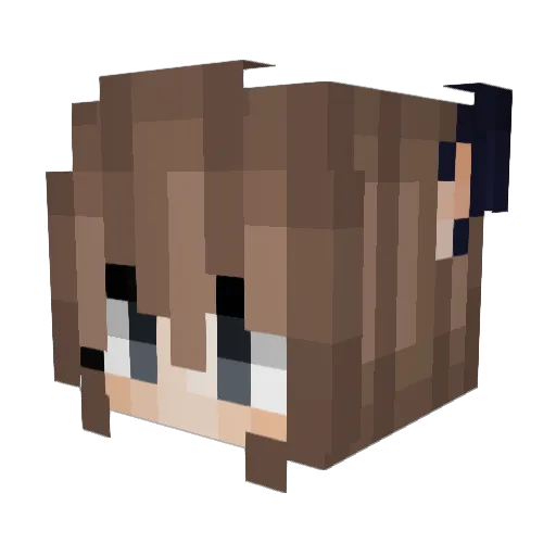 FakeOtakku Minecraft avatar head, 3D render