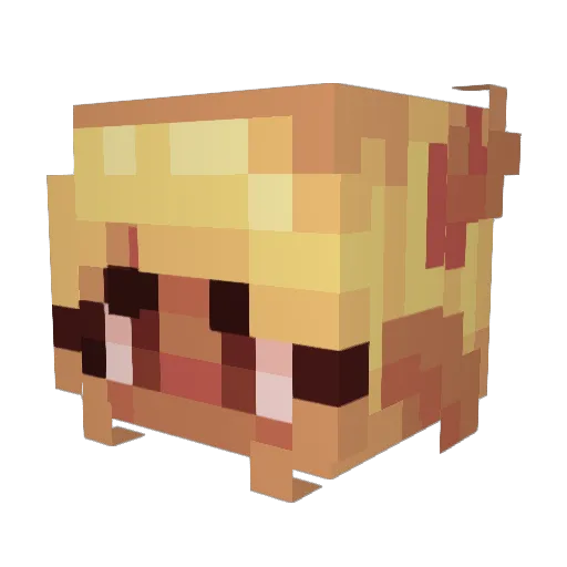 FakeRobin Minecraft avatar head, 3D render