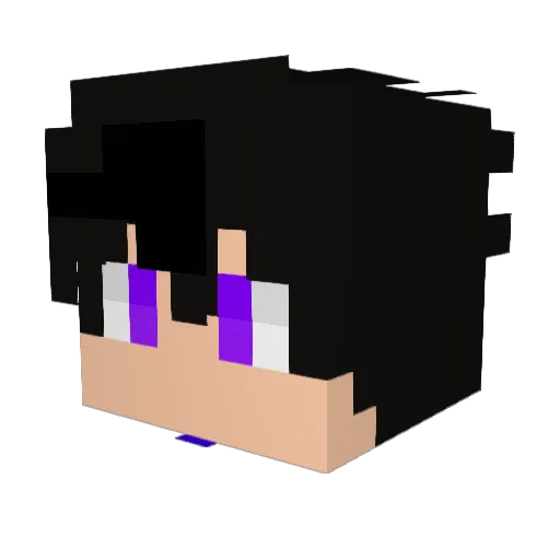 FakeSAYES Minecraft avatar head, 3D render