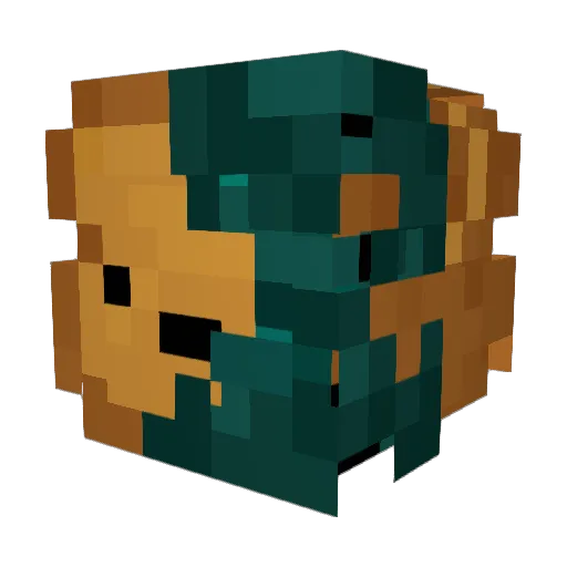 FakeToast1444 Minecraft avatar head, 3D render