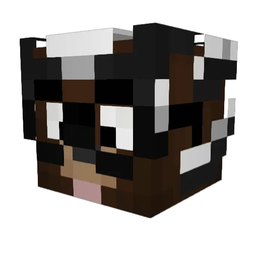FakeVzy_ Minecraft avatar head, 3D render