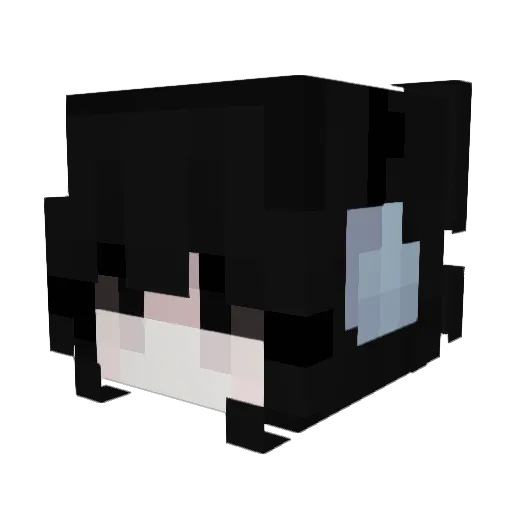 FakeZ12 Minecraft avatar head, 3D render