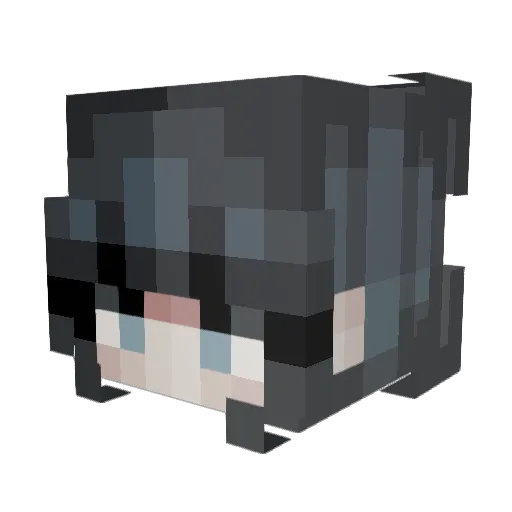 Fake_Dani2011 Minecraft avatar head, 3D render