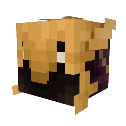 FakerBinbin Minecraft avatar head, 3D render