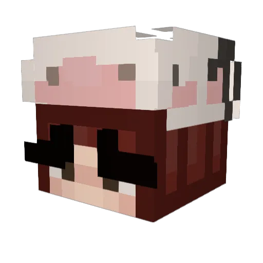 Fakesunflower Minecraft avatar head, 3D render
