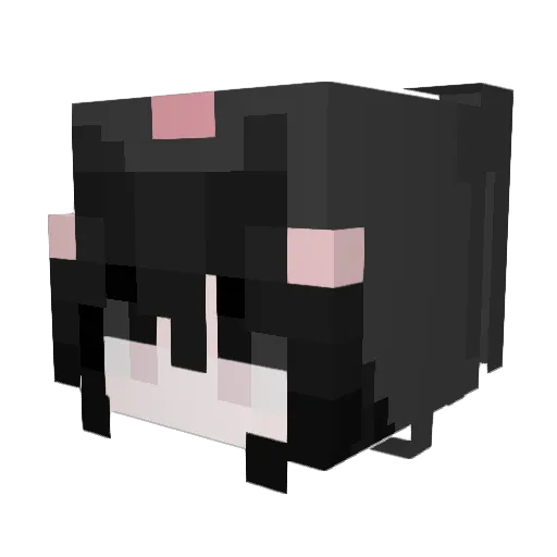 Faki3 Minecraft avatar head, 3D render