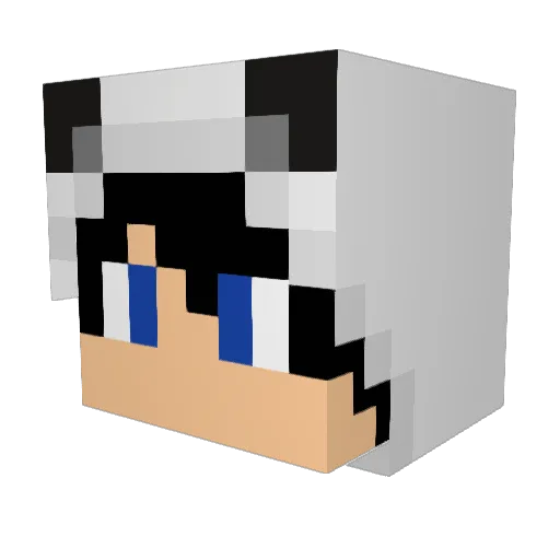 Falacore Minecraft avatar head, 3D render