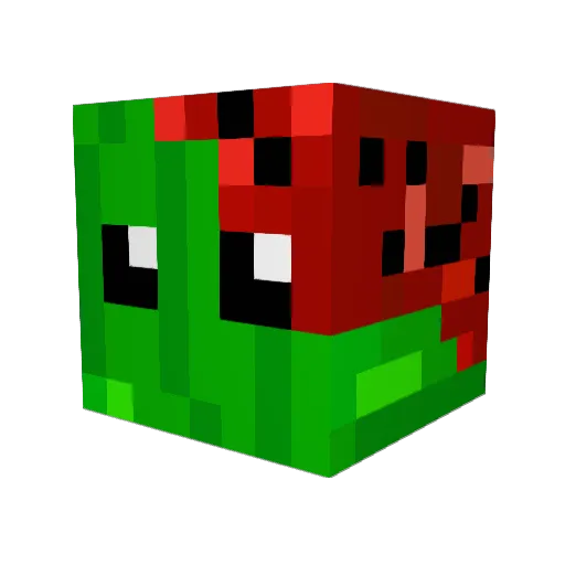 Falan_Orbiplanax Minecraft avatar head, 3D render