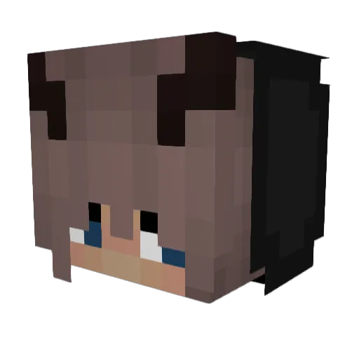Falapre Minecraft avatar head, 3D render