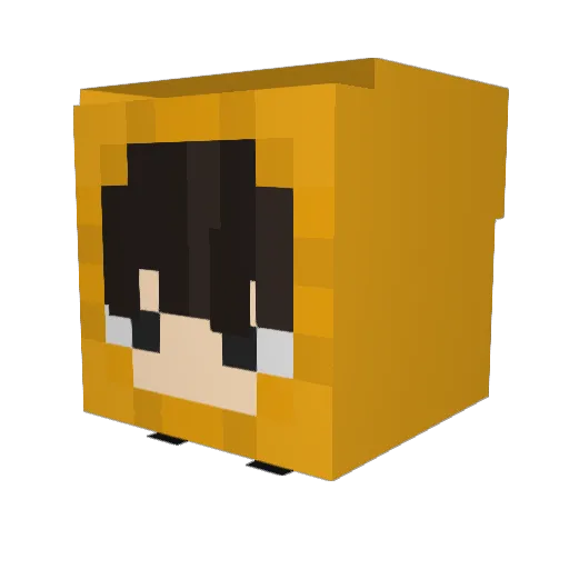 Falco8402 Minecraft avatar head, 3D render