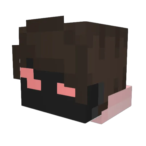 FalcoDaProtoG Minecraft avatar head, 3D render
