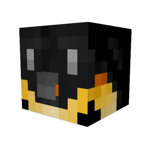 Falcon201 Minecraft avatar head, 3D render