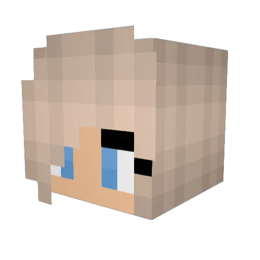 FalconGuy0 Minecraft avatar head, 3D render
