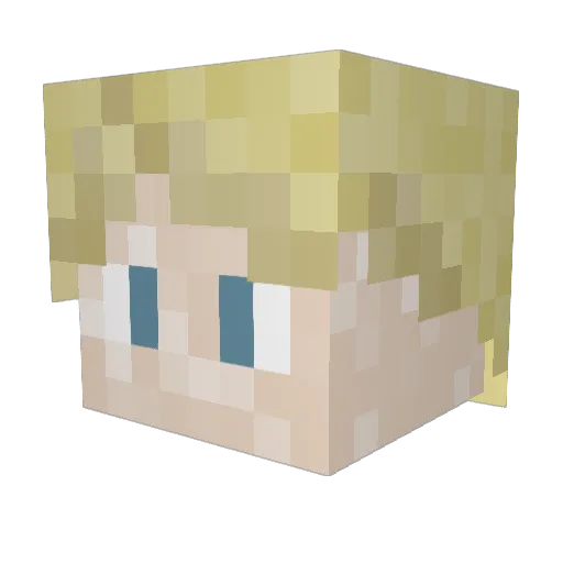 FalconHunter723 Minecraft avatar head, 3D render